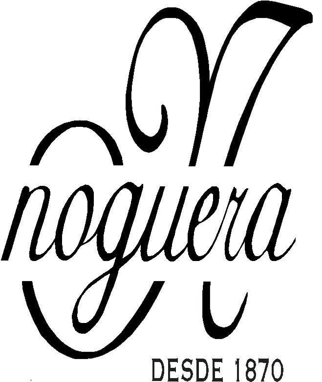 ARAGONES NOGUERA SLU-logo